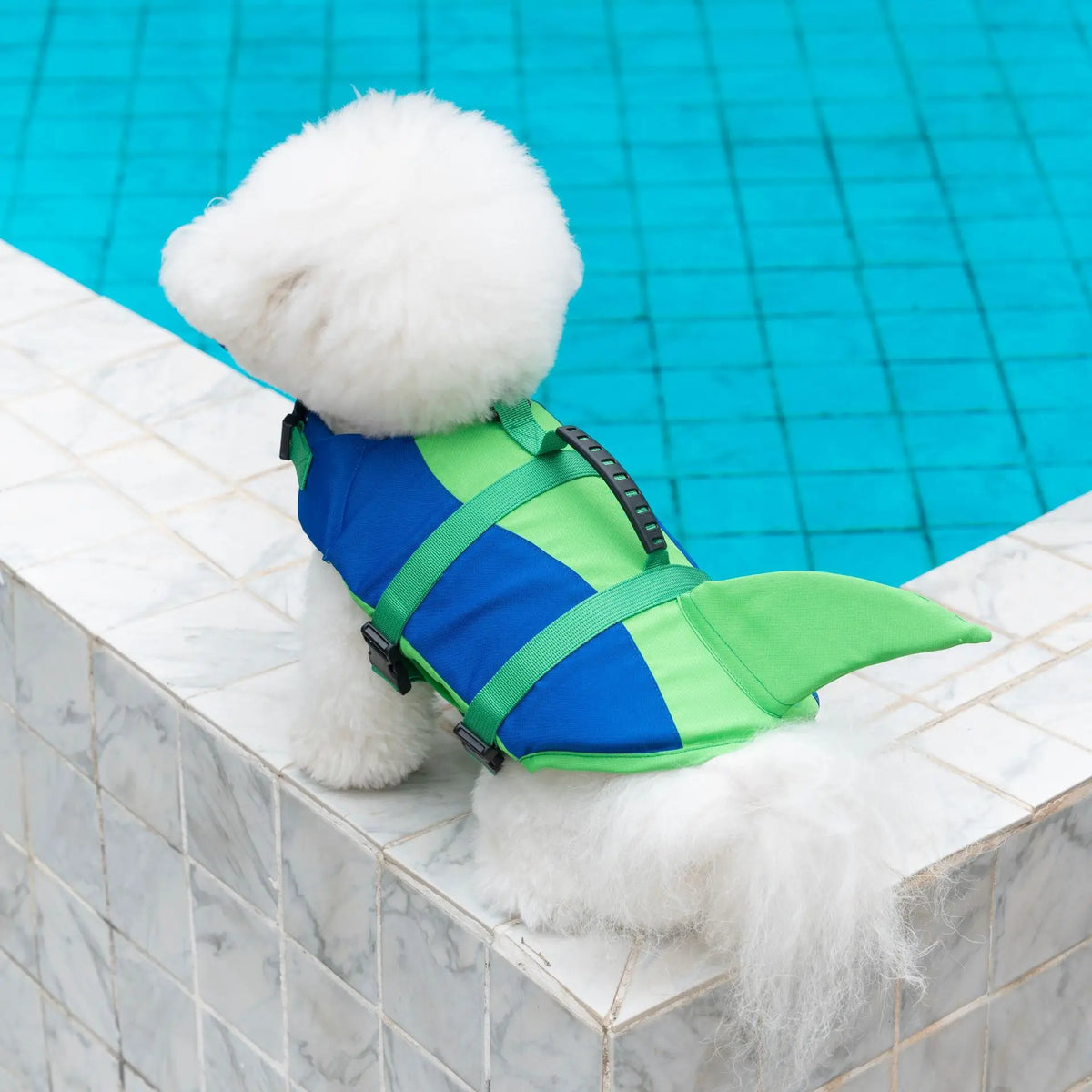 Chaleco salvavidas para perros, chaleco de seguridad ajustable para nadar en piscina, surfear, flotar, ropa para perros, chaleco de rescate con cola.