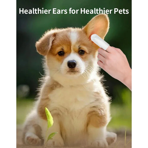50 Uds. Productos de limpieza para mascotas, toallitas para limpieza de orejas, cuidado de los oídos, yemas de los dedos, eliminación de ácaros, productos para limpieza de orejas de gato y perro