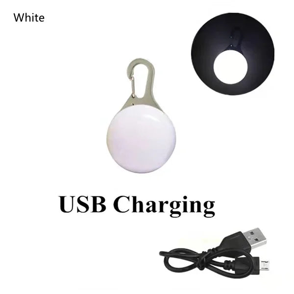 Collares Led para perros, colgante recargable con Usb para mascotas, Collar luminoso, colgante para cachorro, luz Flash, correa, accesorios, decoración, Collar para perro