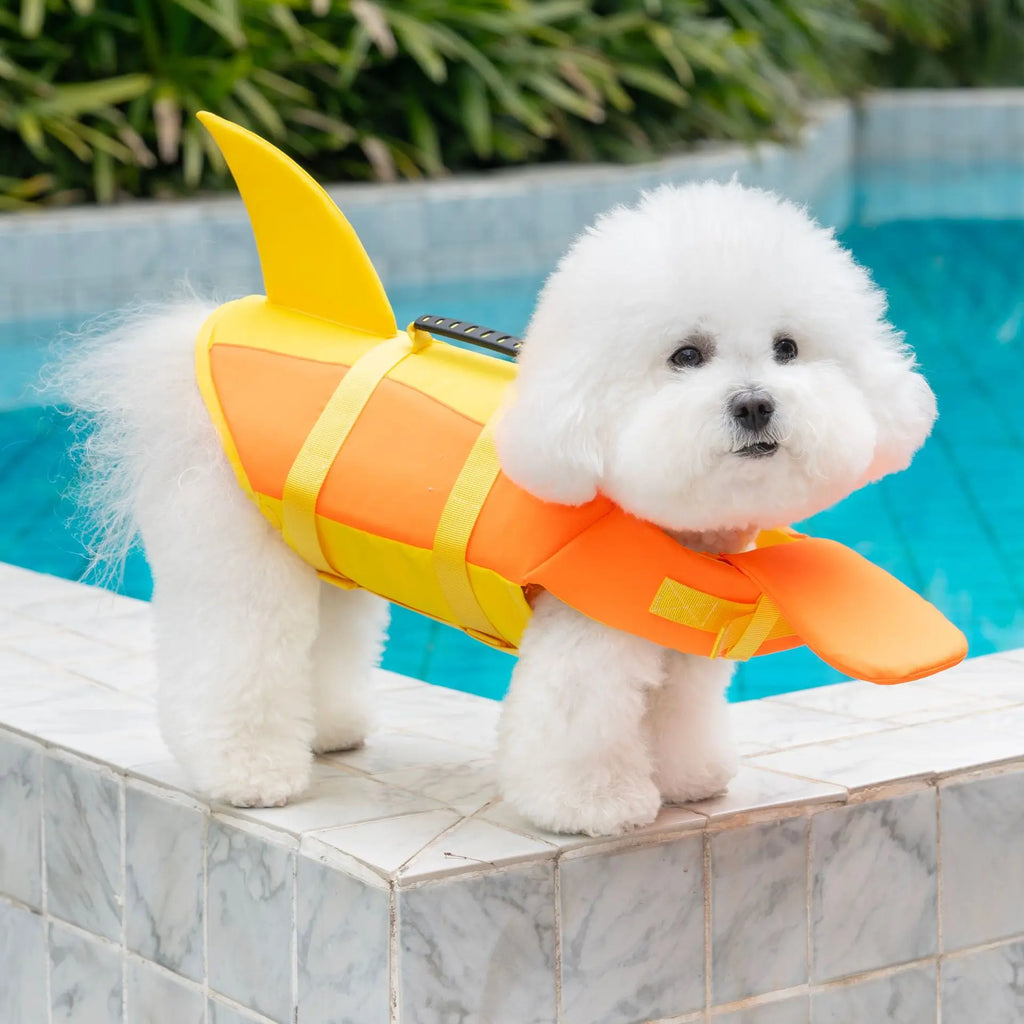 Chaleco salvavidas para perros, chaleco de seguridad ajustable para nadar en piscina, surfear, flotar, ropa para perros, chaleco de rescate con cola.