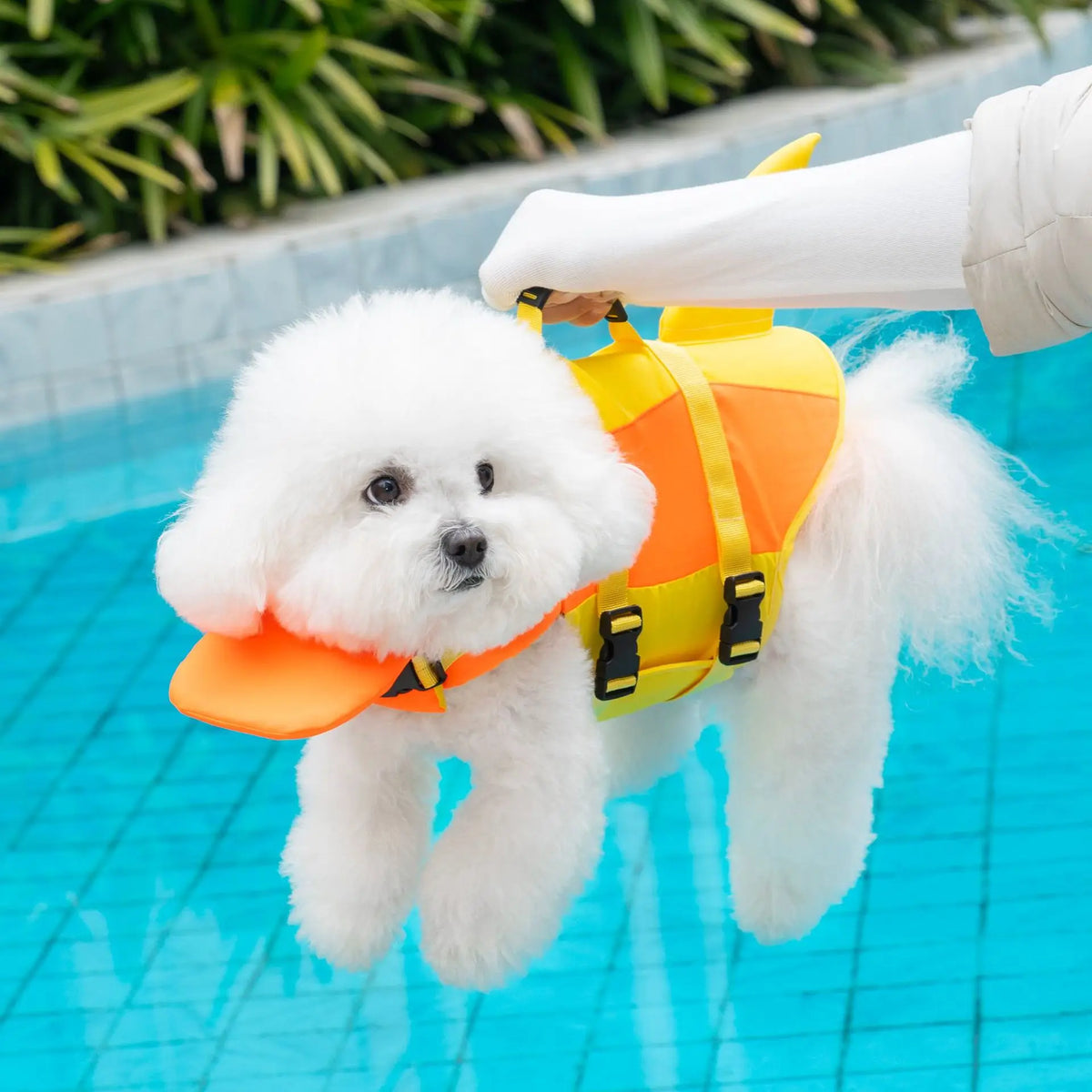 Chaleco salvavidas para perros, chaleco de seguridad ajustable para nadar en piscina, surfear, flotar, ropa para perros, chaleco de rescate con cola.