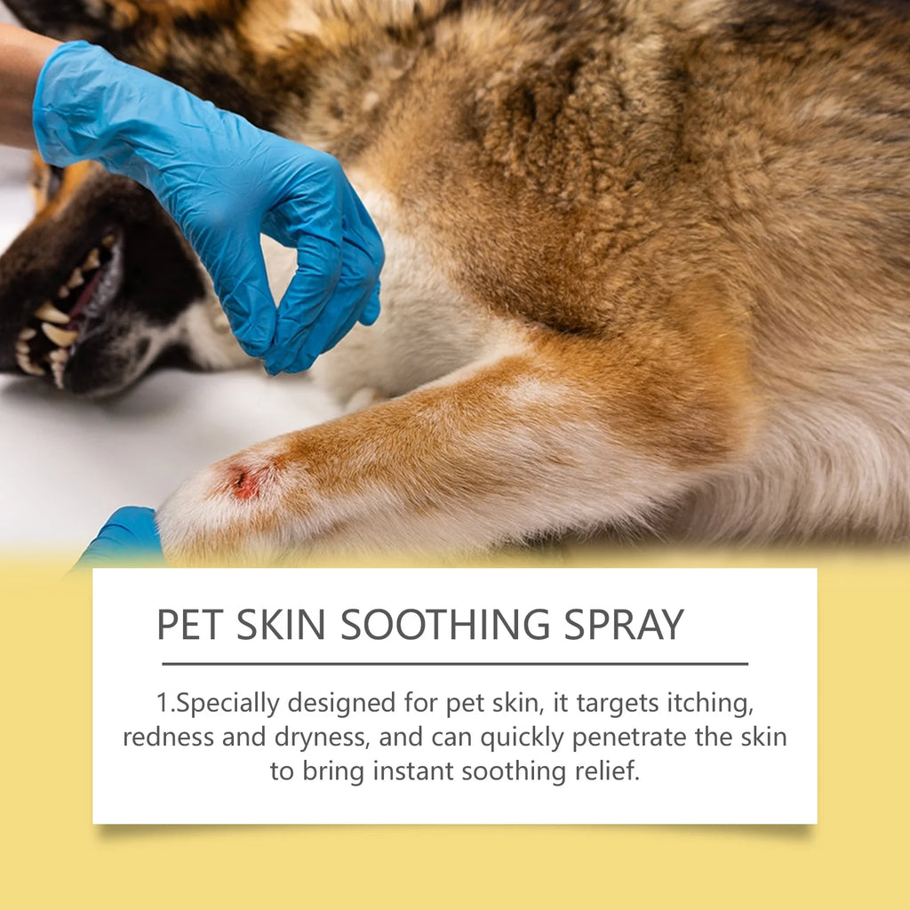 Spray para el cuidado de la piel de mascotas, alivia la molestia para perros, gatos, Control de piojos y pulgas, alivia el rasguño de la piel, lamer, Spray portátil para heridas de mascotas