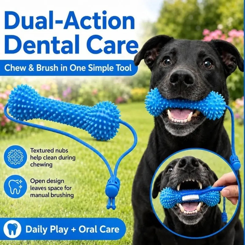 Doppelwirkendes Dentalspielzeug für Hunde, kaubar zur Zahnreinigung, Bürsteneffekt, wiederverwendbar